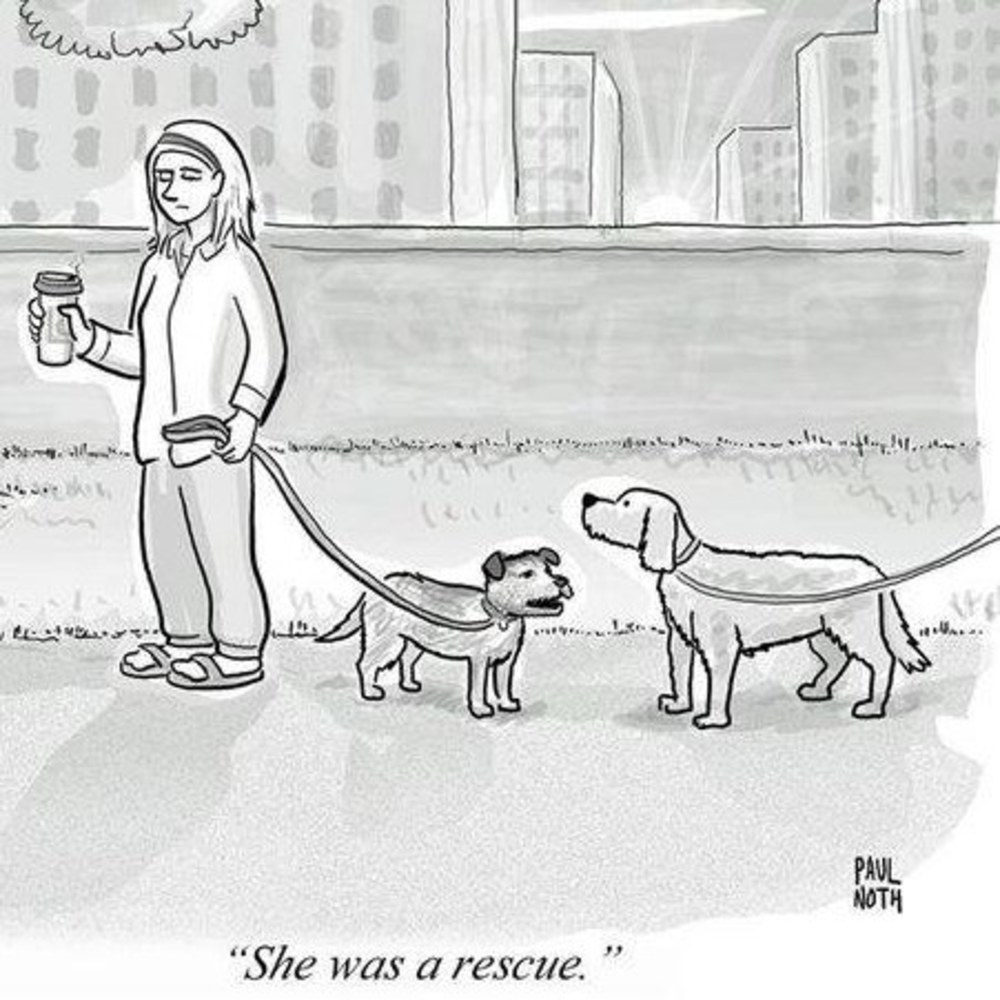 Meet your Posher, Jessie